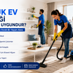 Günlük Ev Temizliği